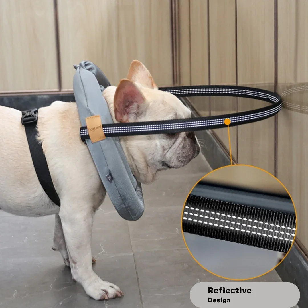 Blind Dog Halo with Detachable Front Bumper