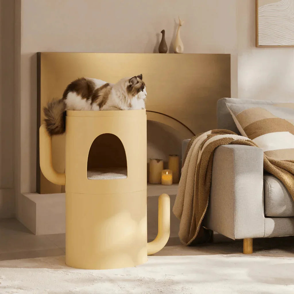 Cactus Cat Nest Coffee Table