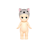 American Short Hair - Open Box