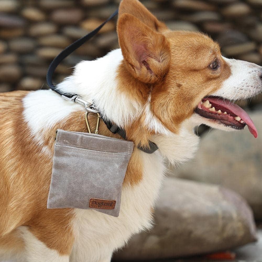 Pet Outdoor Vintage Design Snack Bag