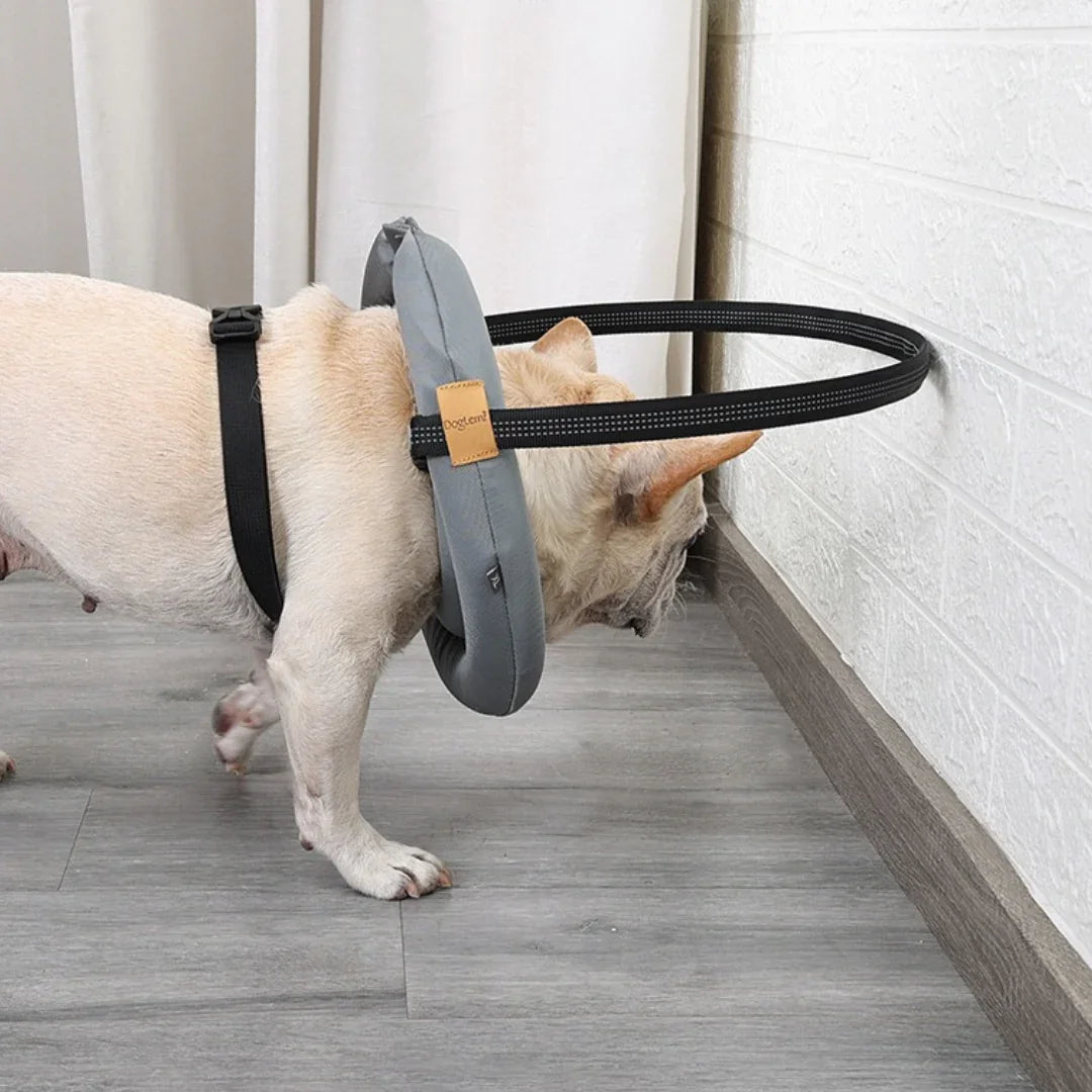 Blind Dog Halo with Detachable Front Bumper