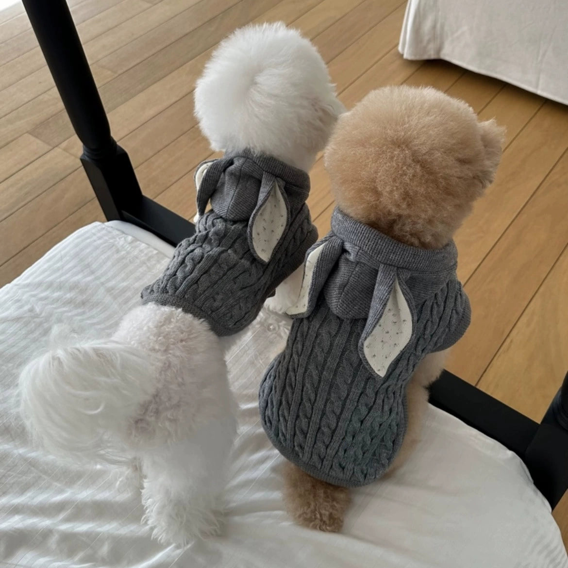 Knitted Small Dog Sweater with Bunny Ears - ri-son