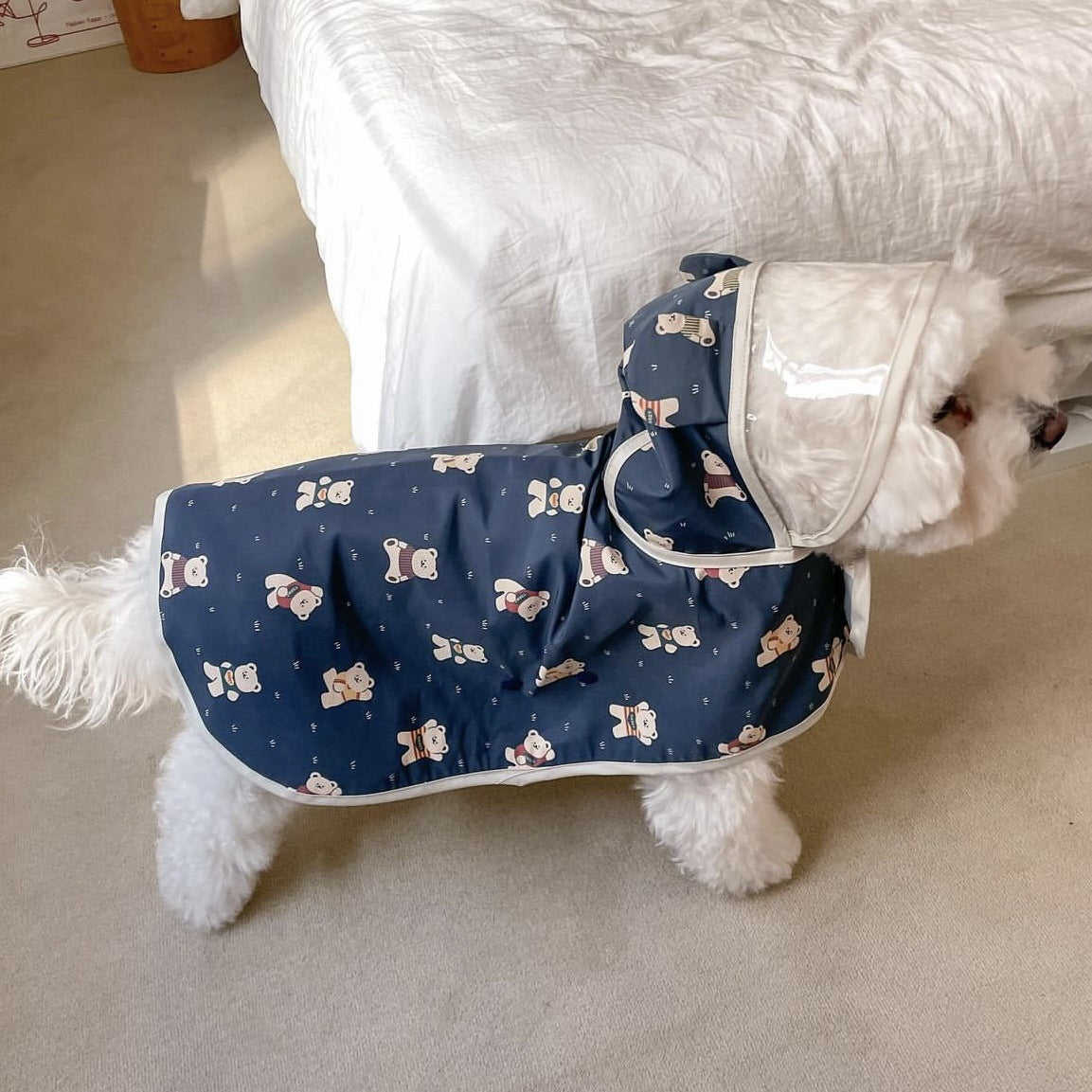 Small Dog Rain Coats with Teddy Bear - ri-son