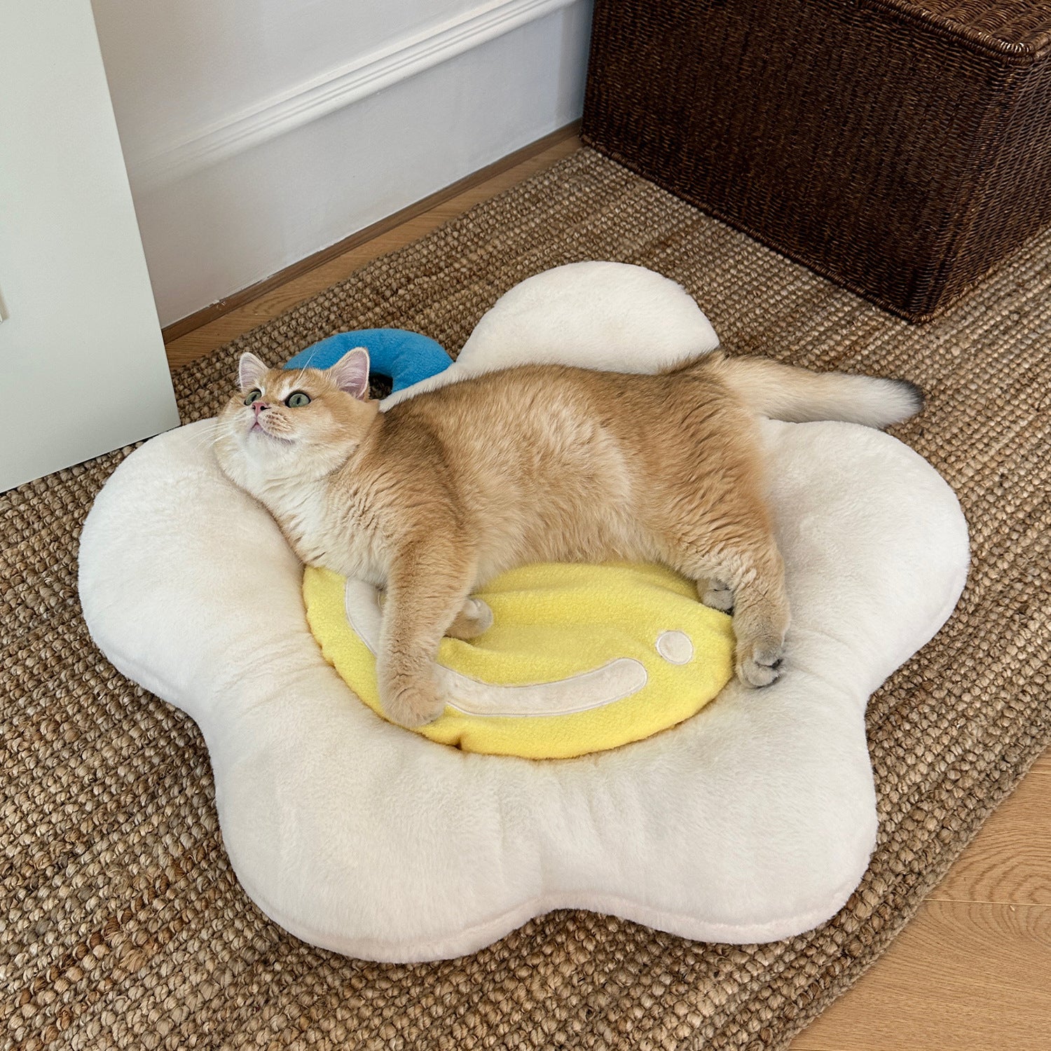 Sunny Side Up Cat Pillow Beds with Crinkle Paper