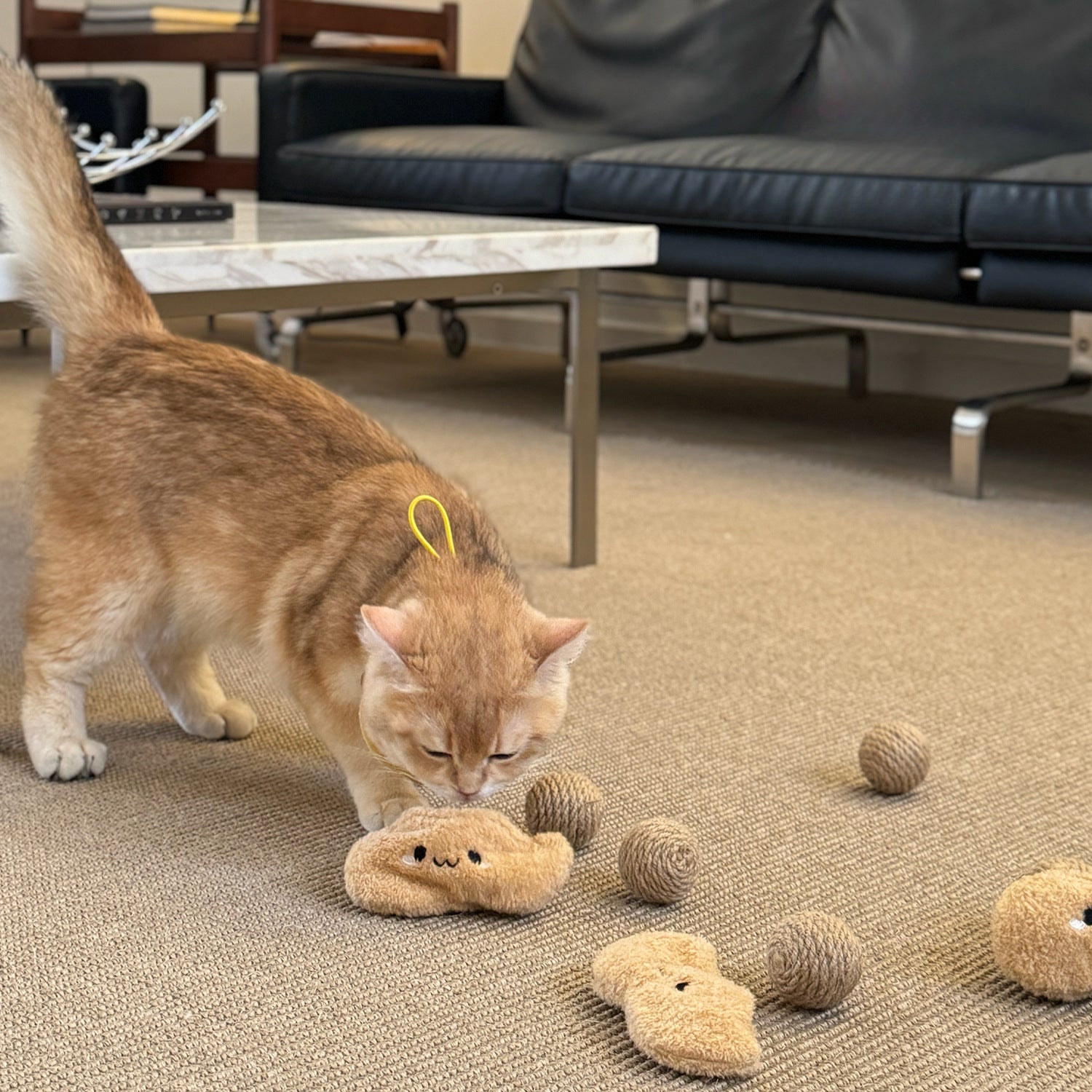 Peanut Cat Toy with Hidden Bite-Resistant Sisal Balls