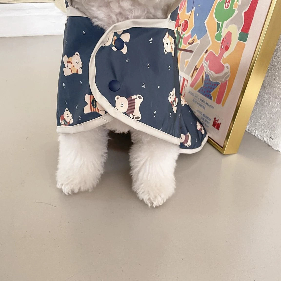 Small Dog Rain Coats with Teddy Bear - ri-son