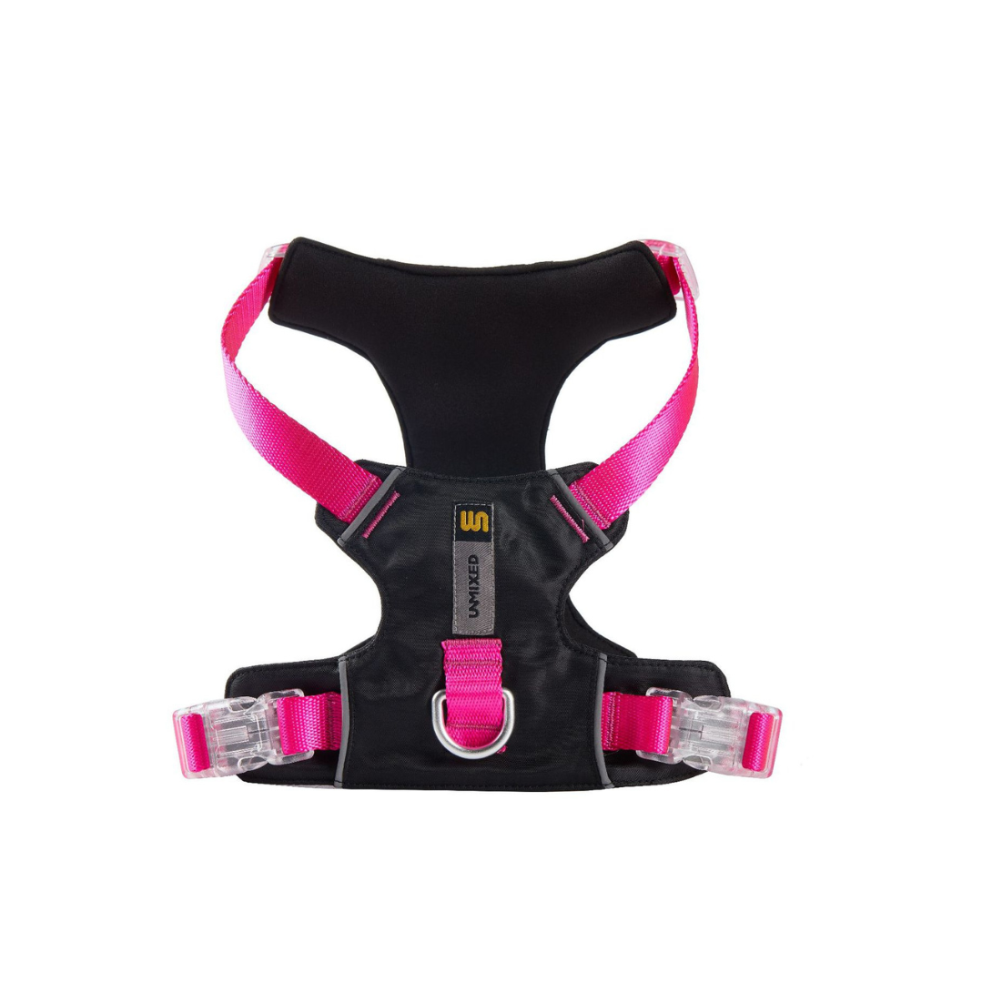 Designer City Color Dog Harness - ri-son