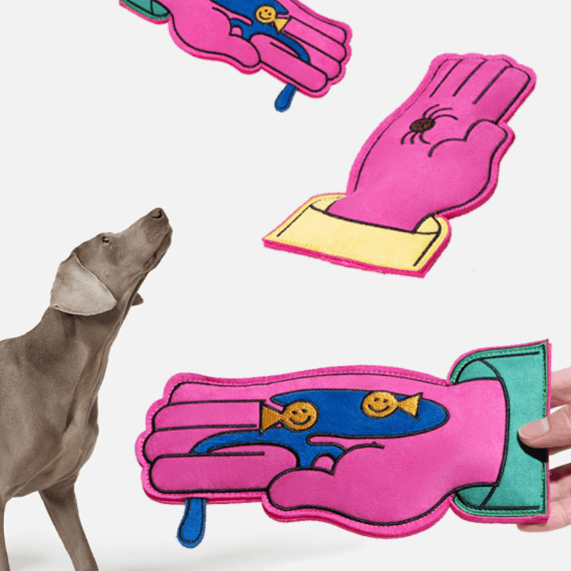 Pink Gloves Dog Squeaky Frisbee Toy