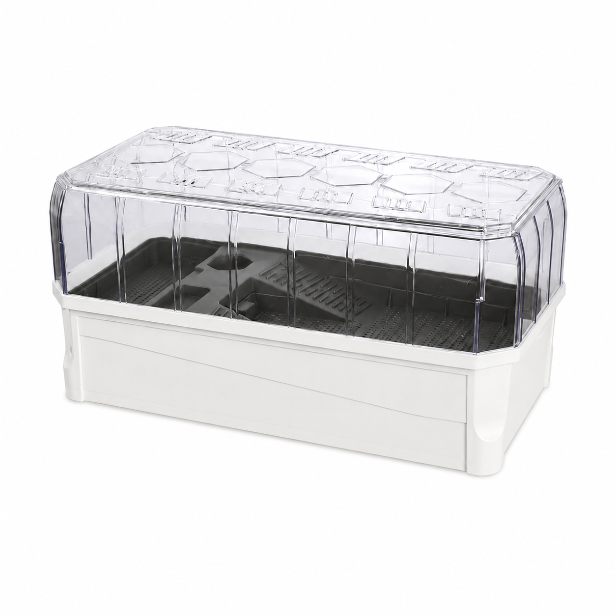 Escape-Proof Turtle Tank with Easy Drainage