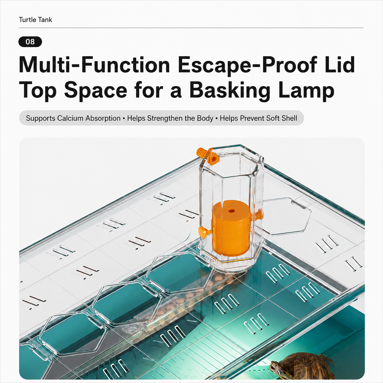 Escape-Proof Turtle Tank with Easy Drainage