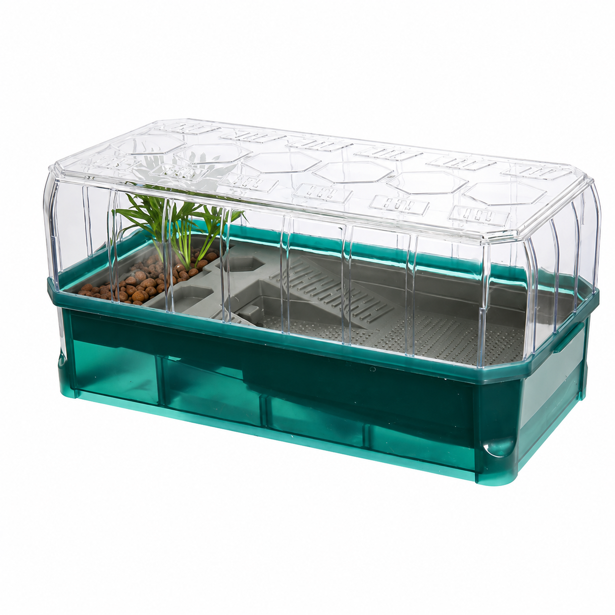 Escape-Proof Turtle Tank with Easy Drainage