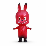 Red Transparent Opened Box