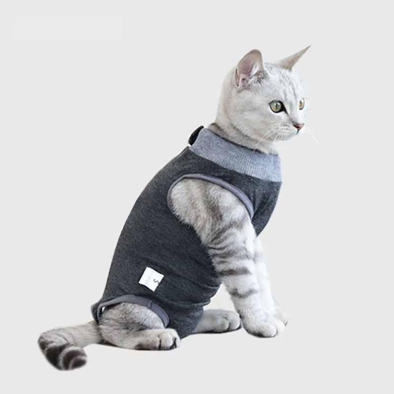 Comfy Cat Surgery Recovery Suit