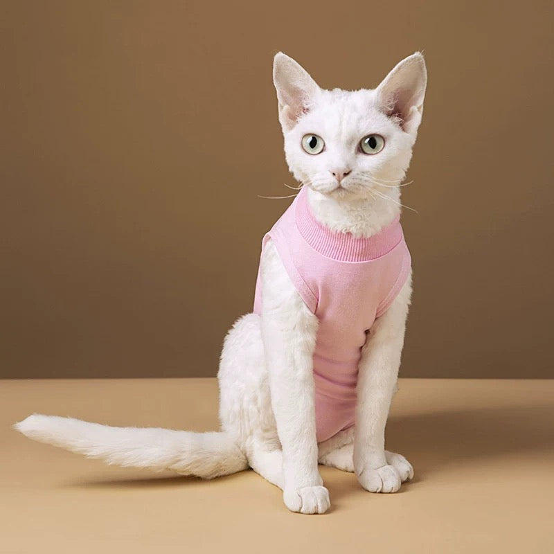 Comfy Cat Surgery Recovery Suit