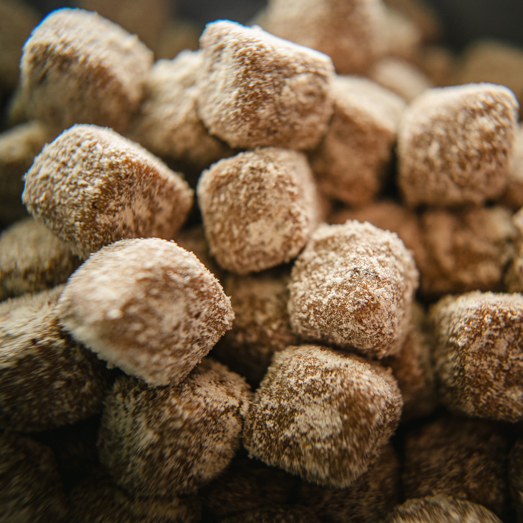 MAYA Supplement Digestive Care