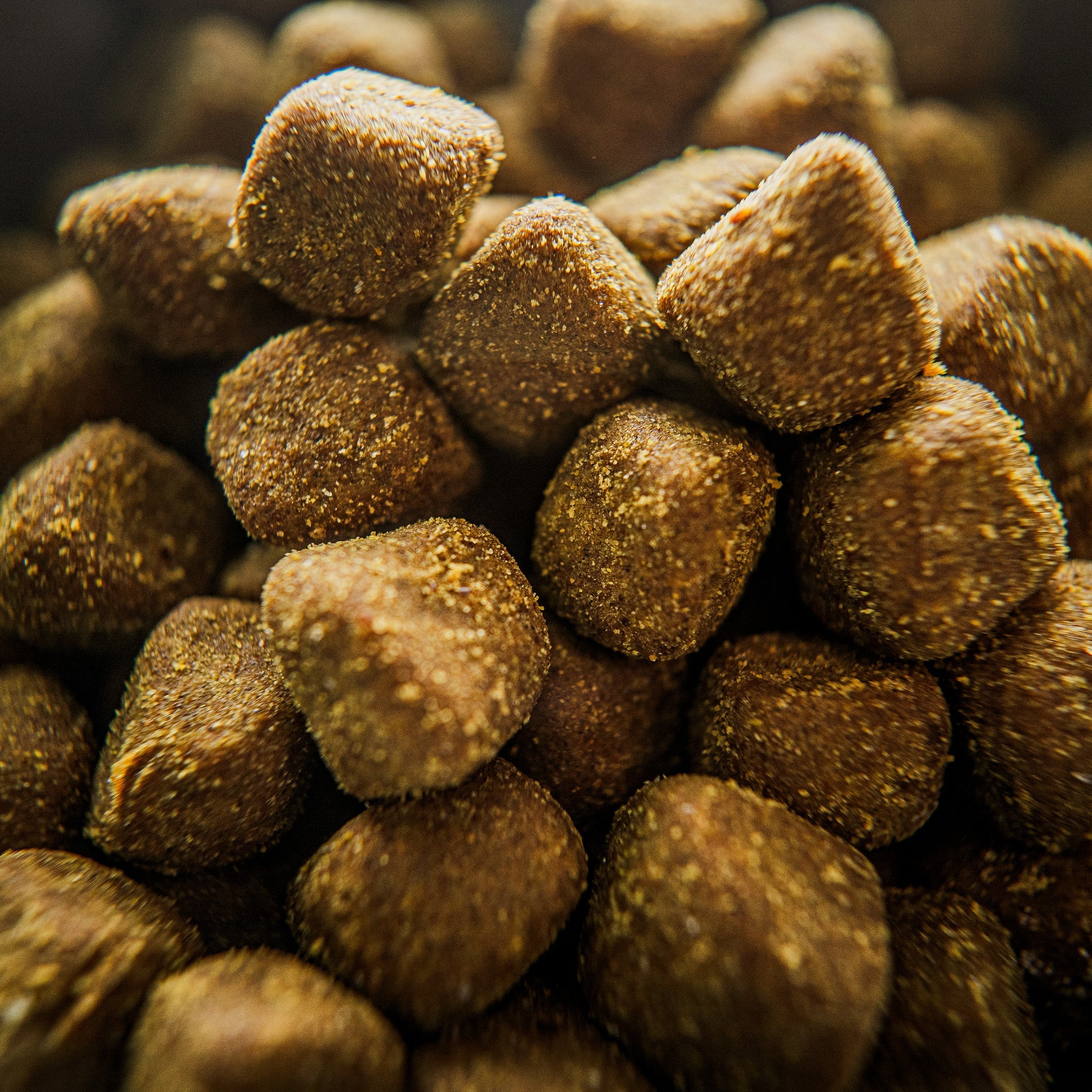 MAYA Supplement: Allergy