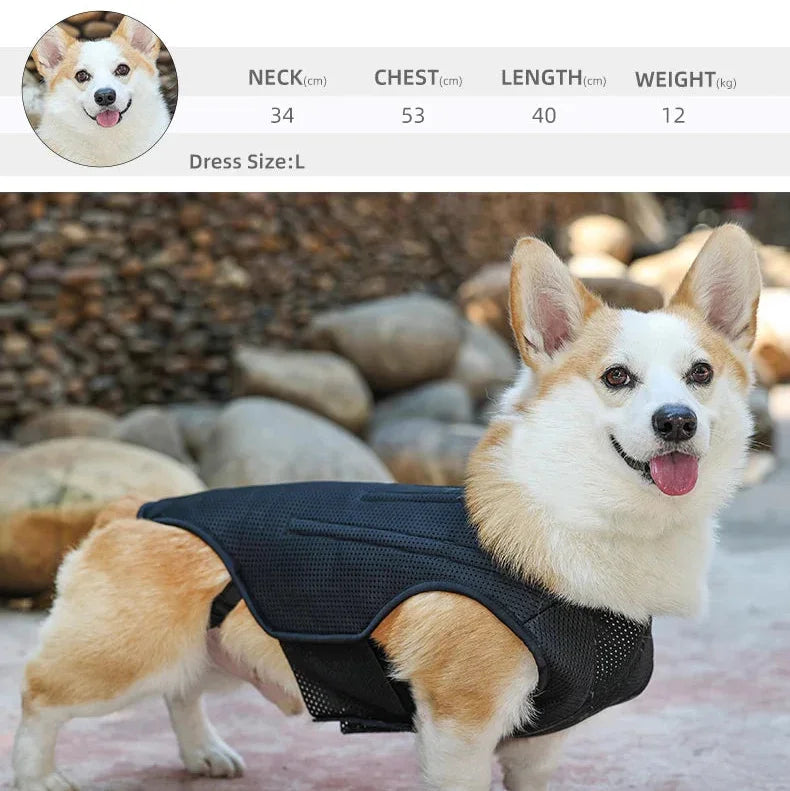 Dog Back Brace for Spinal Support