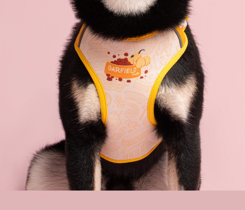 Garfield Cat Harness with Leashes