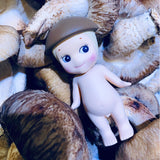Shiitake(Secret)-Opened Box