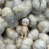 Garlic- Opened Box