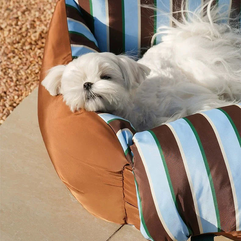Small white dog in a striped pet hammock on a patio