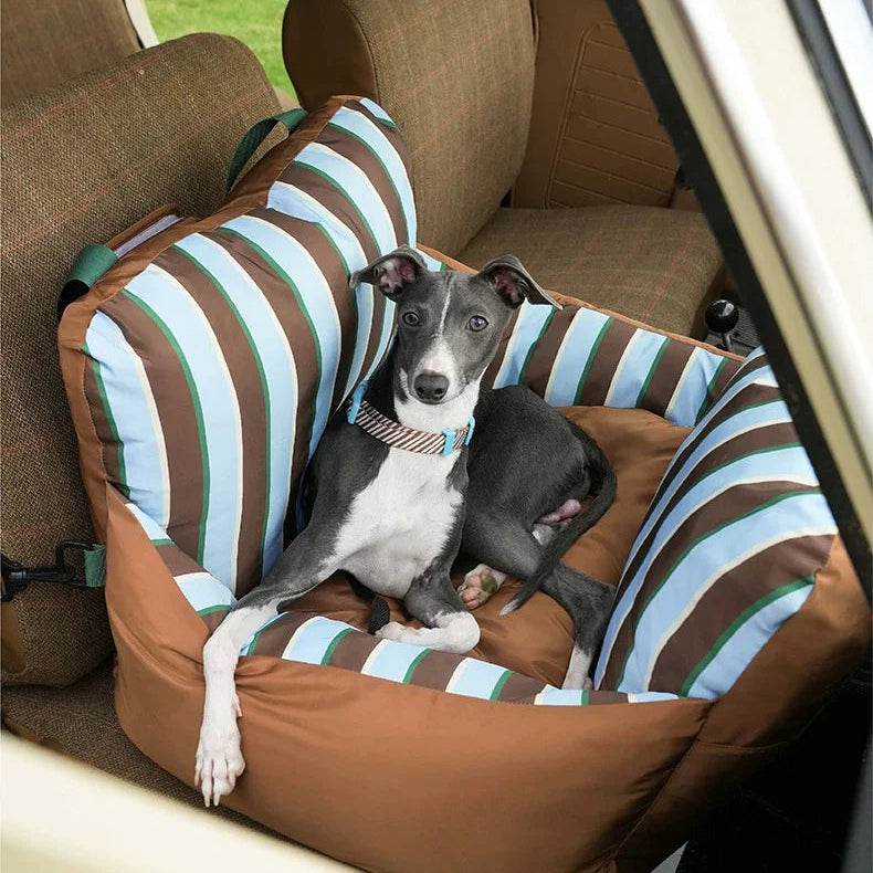 Dog sitting on a striped pet seat cover in a car