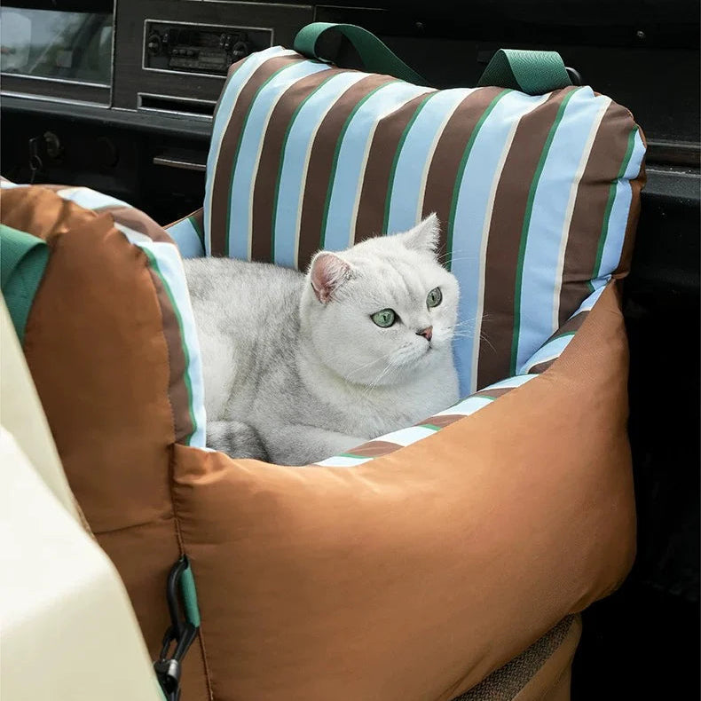 Cat sitting in a striped car seat cover inside a vehicle