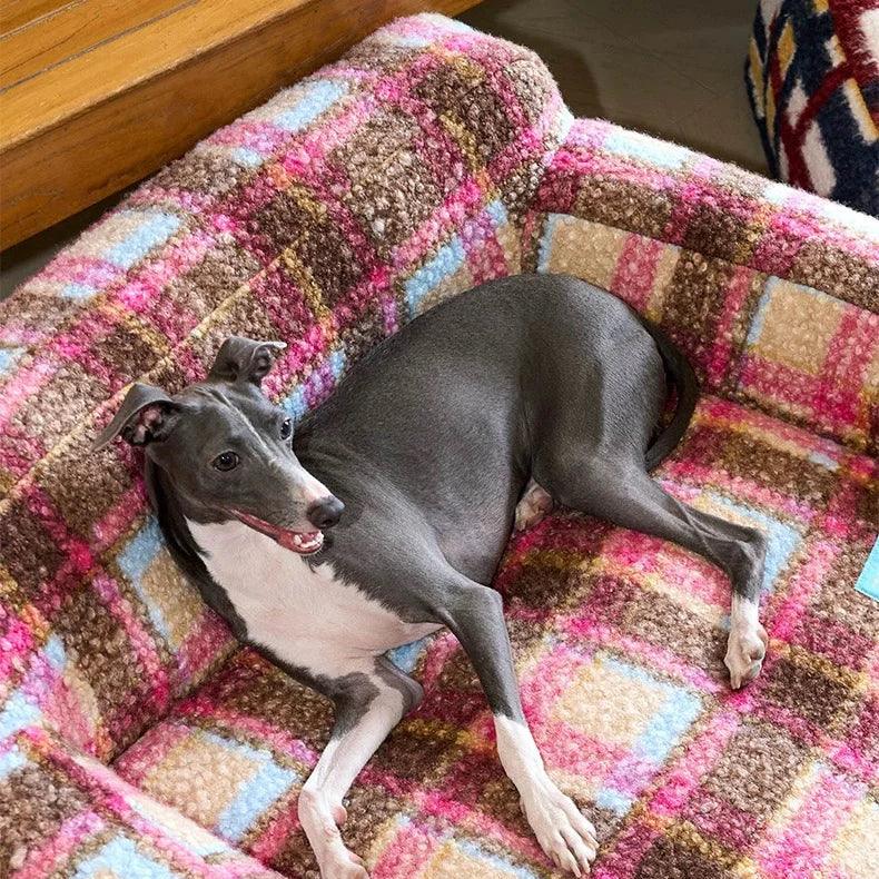 Dog lying on a colorful patterned chair