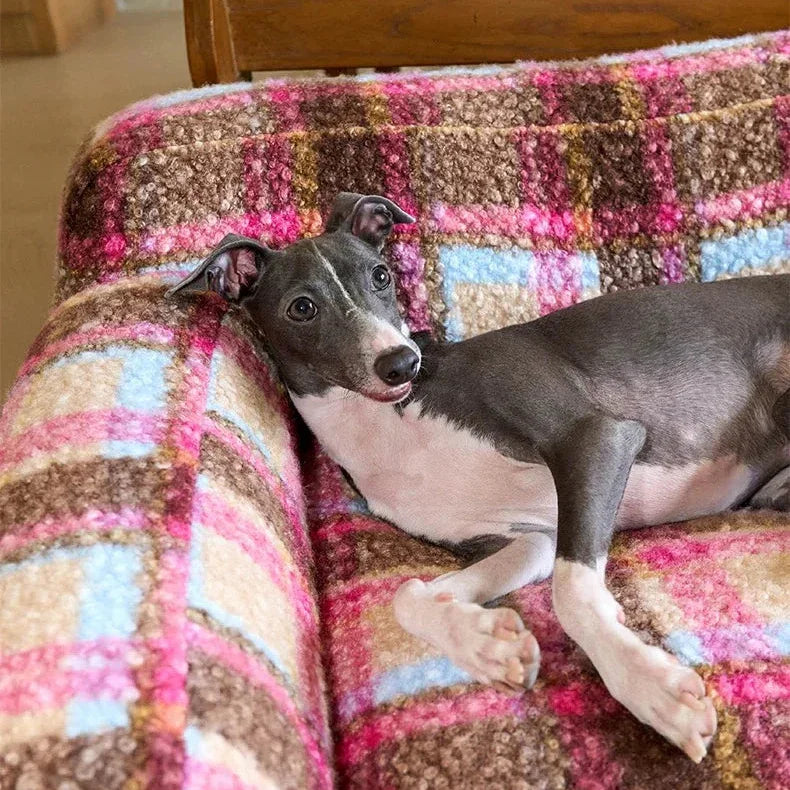 Dog lying on a colorful textured blanket
