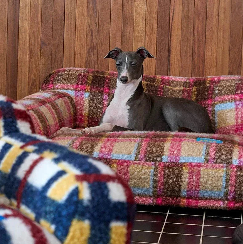 Dog sitting on a colorful patchwork sofa against a wooden wall.