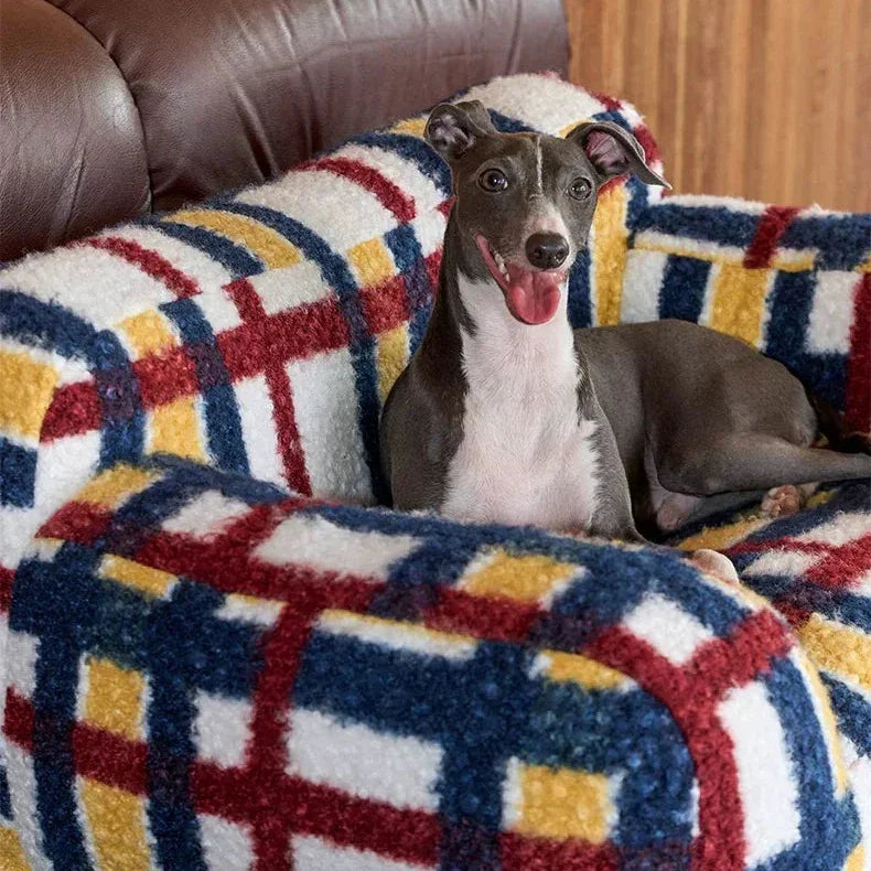 Dog sitting on a colorful geometric-patterned dog bed with a brown leather chair in the background.