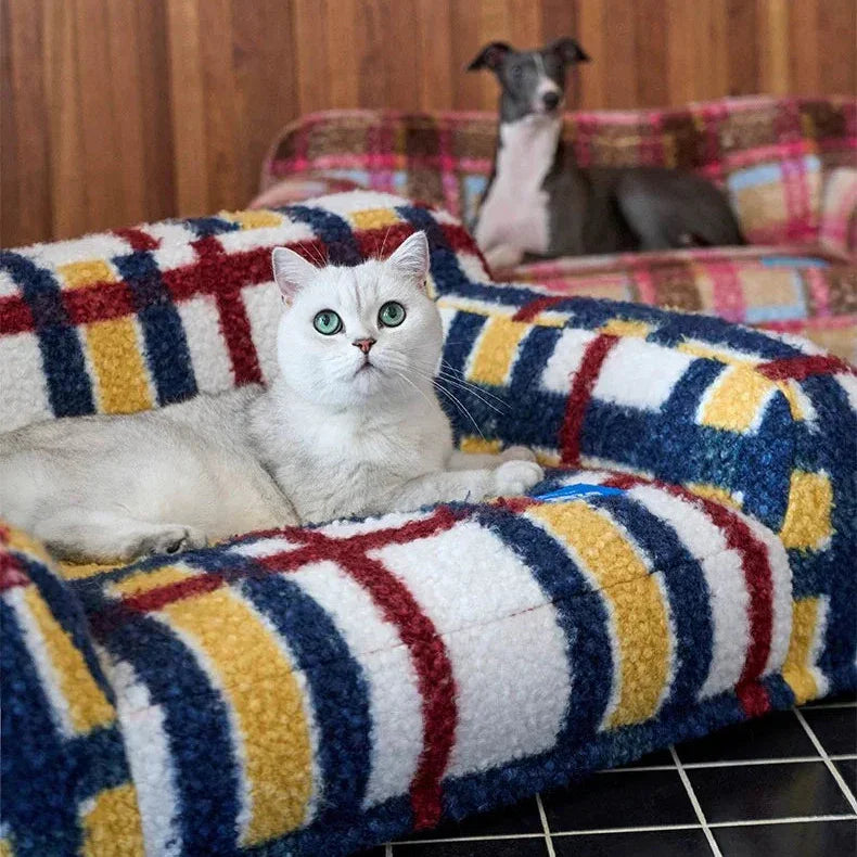 Cat and dog on a colorful striped pet bed with wooden wall background