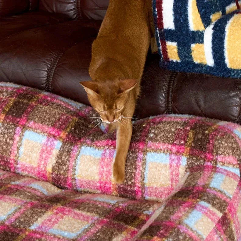Cat walking on a colorful patterned sofa with a brown leather couch in the background