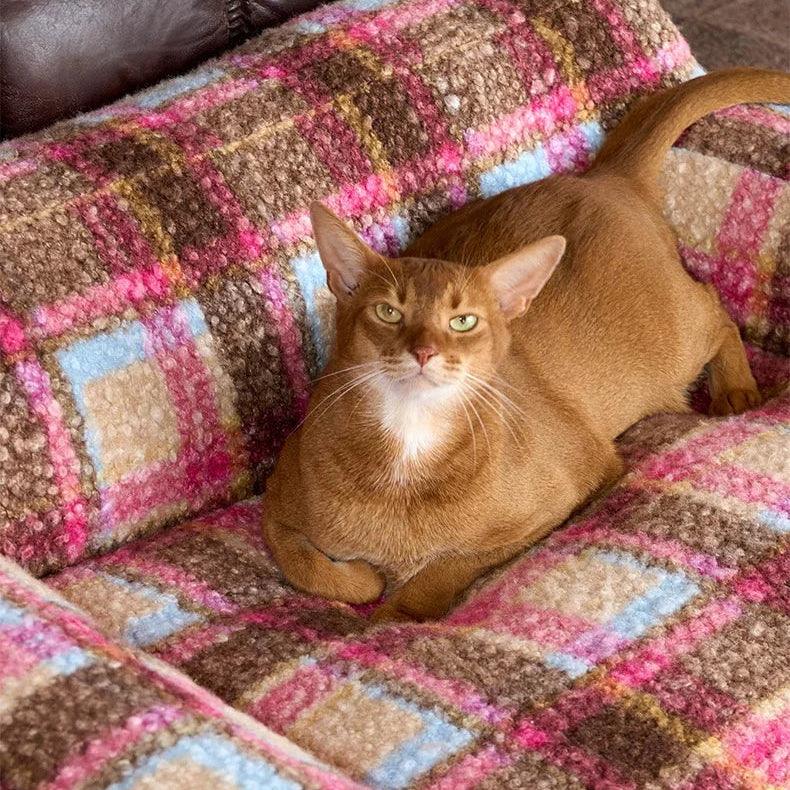 Cat lying on a colorful patterned cushion on a couch