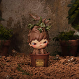 Opened Box — Mandrake Secrect
