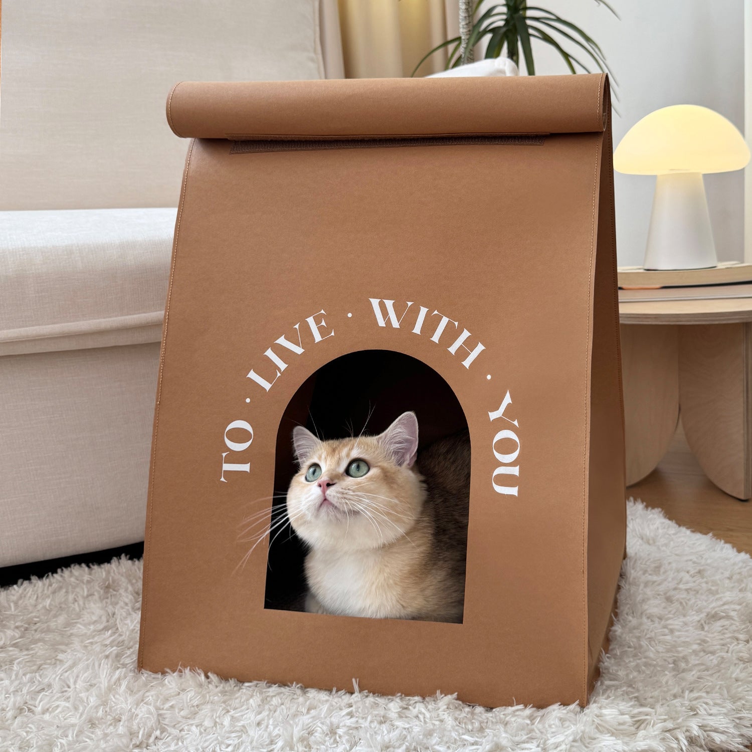 Eco - Friendly Kraft Paper Cat Houses & Scratching Board