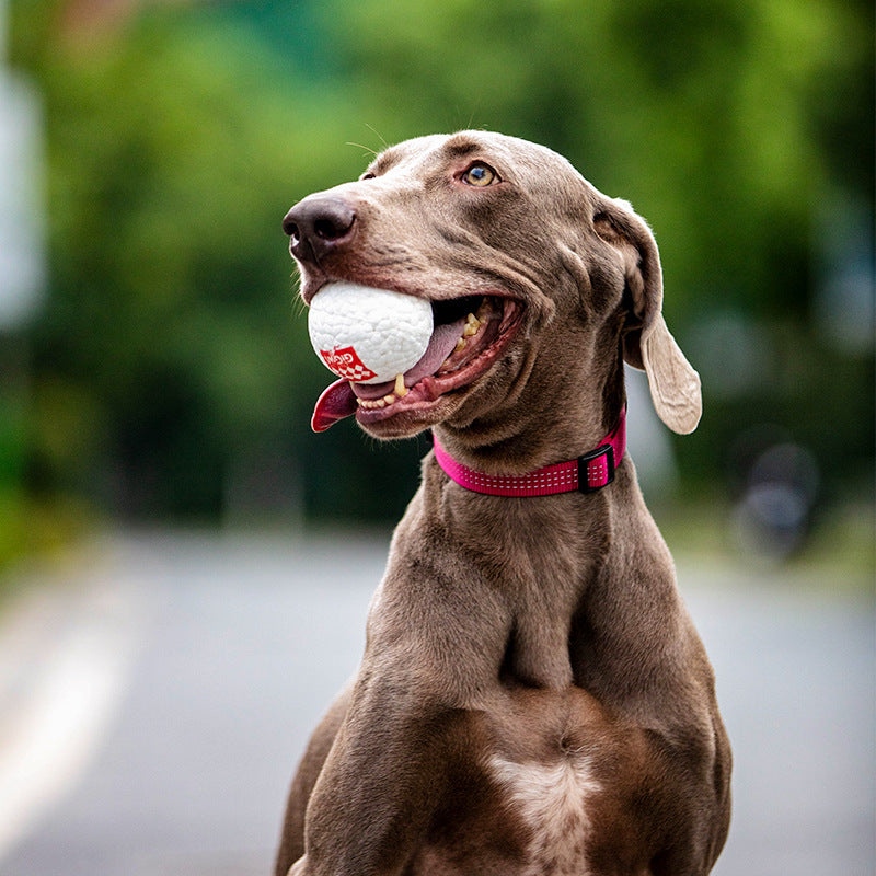 GiGwi Golf-Inspired High-Elastic Dog Fetch Toy Ball