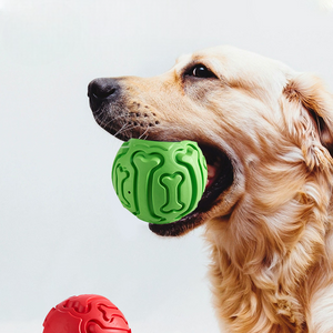 Dog Chewing Ball Toys With/Without Sound R-YQ02 - ri-son