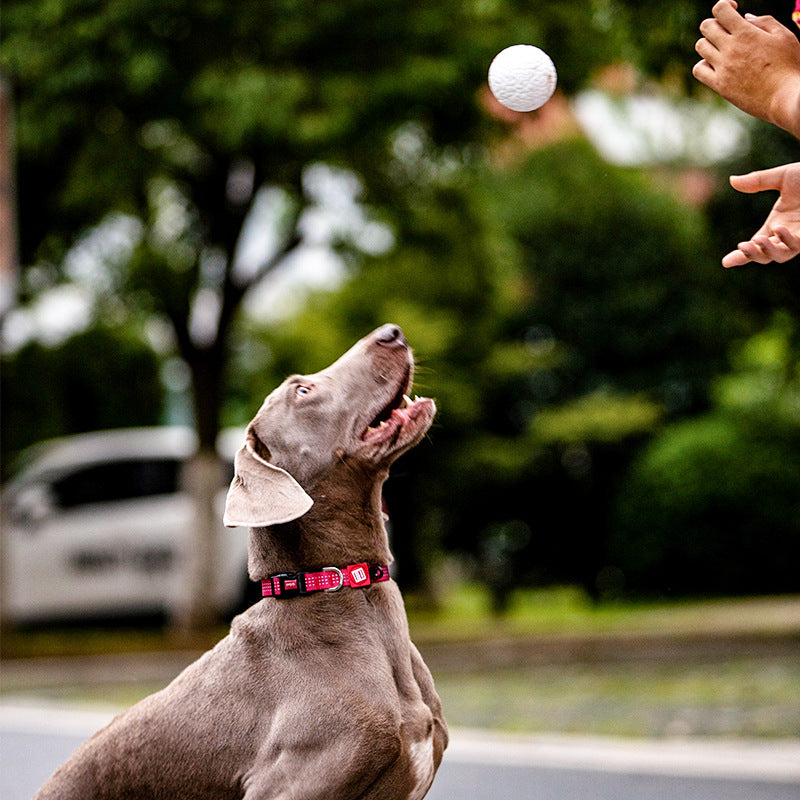 GiGwi Golf-Inspired High-Elastic Dog Fetch Toy Ball