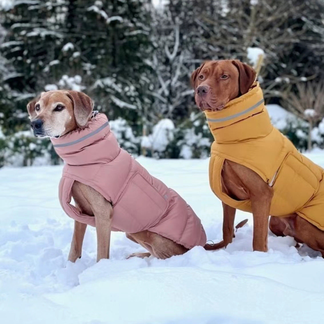 Adventure Ready Down Vest for Dogs