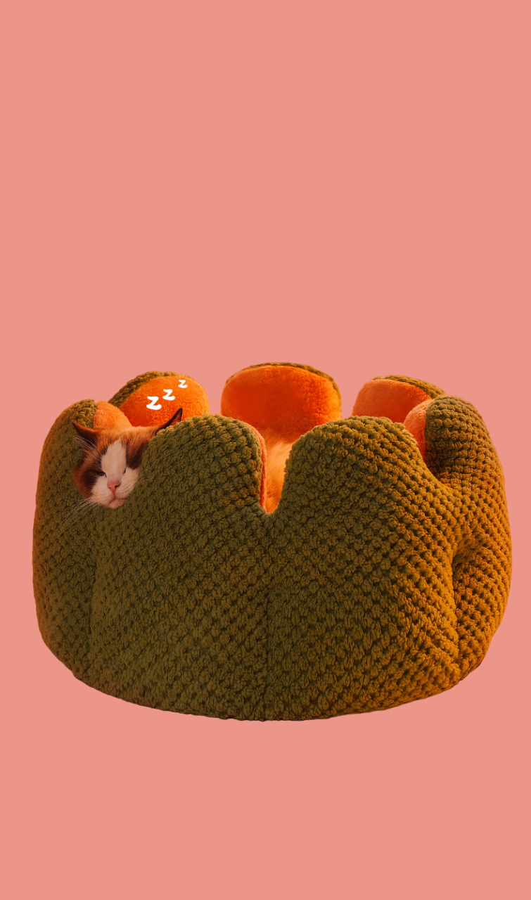 Pet Flower Shape Cushion/Pet Flower Shape Bed R-B02 - ri-son