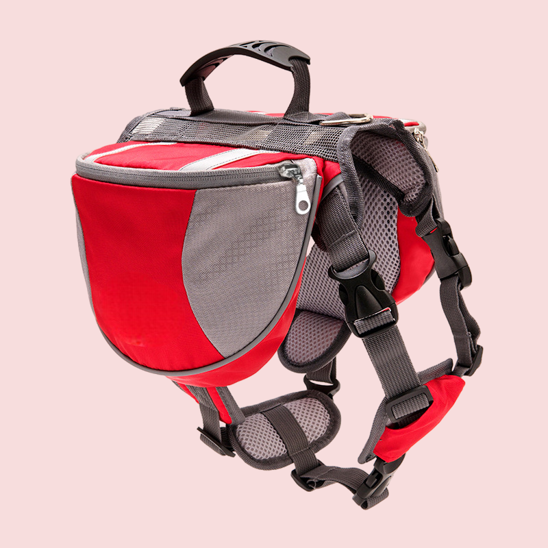 Pet Harness and Portable Backpack 2-in-1 R-JGBP-004A/B/C/D - ri-son