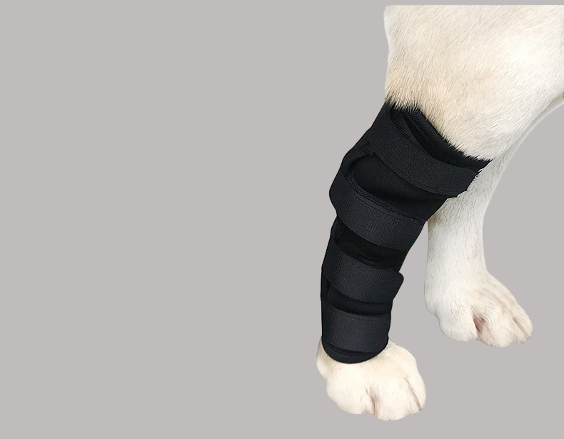 Dog Leg Injury Protection, Anti-Licking, Joint Stabilizer, Recovery Bandage R- PD60041 - ri-son