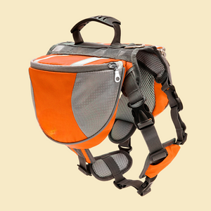 Pet Harness and Portable Backpack 2-in-1 R-JGBP-004A/B/C/D - ri-son