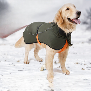 Dog Outdoor Waterproof, Windproof, and Luminous Night Jacket R-PD10048 - ri-son