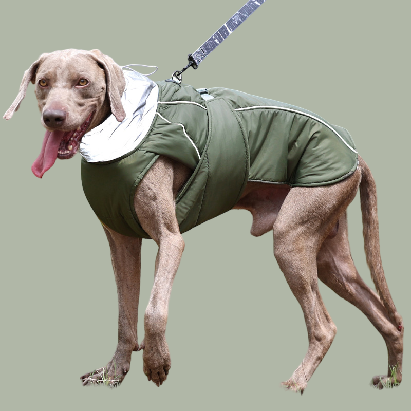 DogWander Weatherproof Jacket R- PD10063 - ri-son