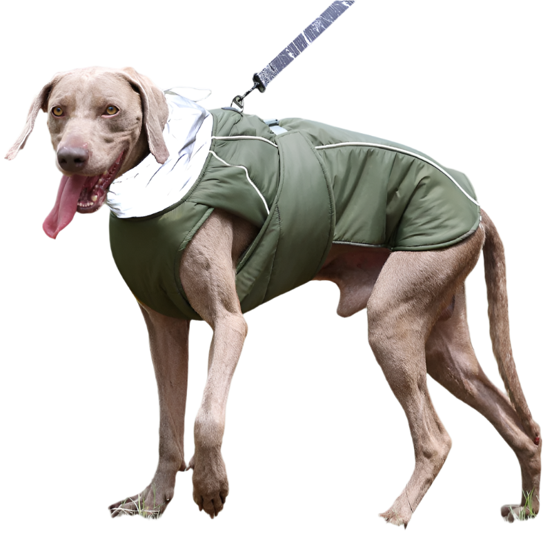 DogWander Weatherproof Jacket R- PD10063 - ri-son