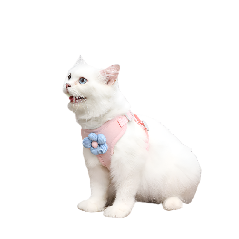 Cat Corduroy Baby Blue/Pink Harness - ri-son