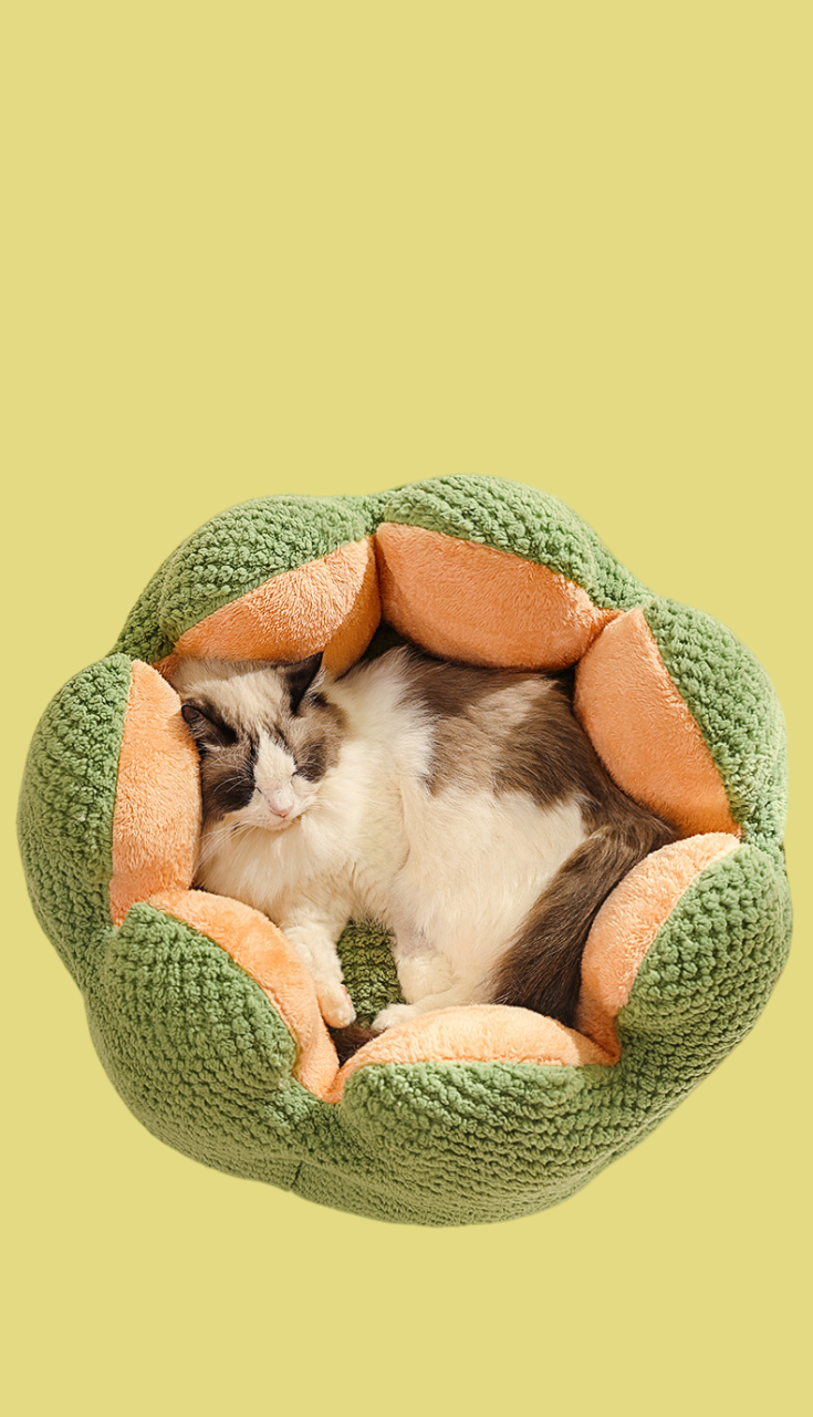 Pet Flower Shape Cushion/Pet Flower Shape Bed R-B02 - ri-son