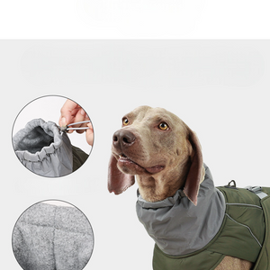 DogWander Weatherproof Jacket R- PD10063 - ri-son